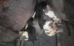 顶蜂X托马斯·澜 900115002829817，NGXH1021A7.jpg