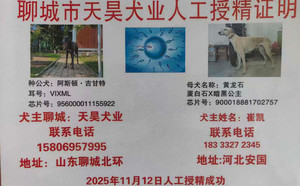 阿斯顿吉甘特X黄龙石 DBAN2，900018881702757.jpg