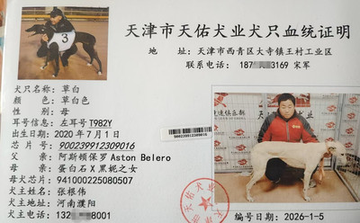 草白 900239912309016，T982Y