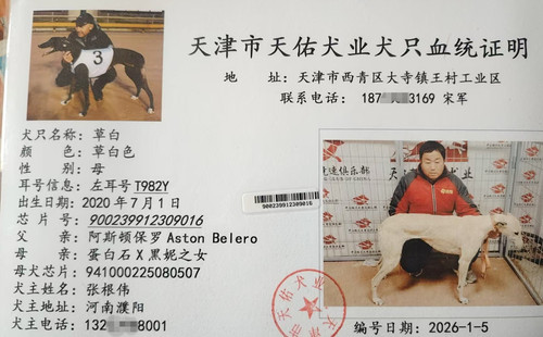 草白 900239912309016，T982Y