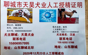 鲍里斯X疾风 NGQX 714A，156111110086642.jpg