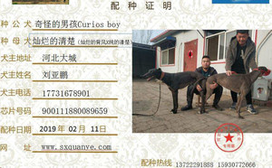 奇怪的男孩X灿烂的清楚 BFQC 104H，900111880089659.jpg