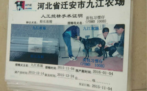 船长X面包习惯仔 FBMB100B.jpg