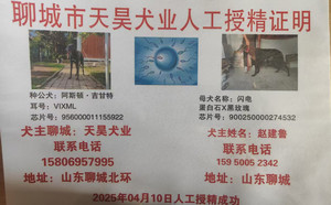 阿斯顿吉甘特X闪电 TY341，900250000274532.jpg