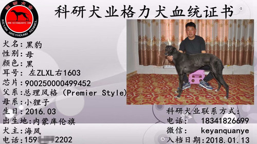 黑豹 900250000499452，ZLXL1603