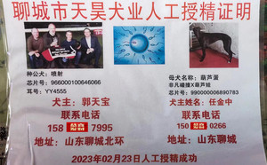 喷射X聊城任金中的葫芦蛋990000006890783（2023年2月23日配）.jpg