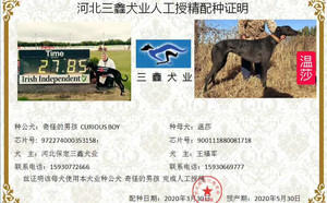 奇怪的男孩X温莎 900111880081718，900005761104664.jpg