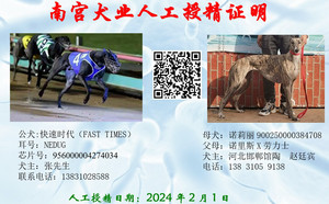 快速时代X诺莉丽 900250000384708，NLLL1605.jpg