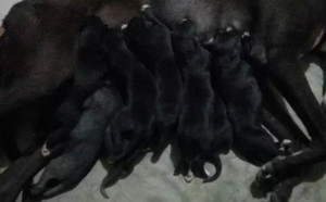 非凡的碰撞X待战 HSDGZ 1307Z，900250000176298.jpg