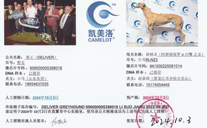 黑王X黄精灵 BLNZ2，941000225081014.jpg