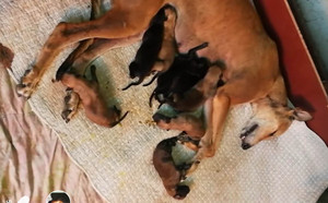 路易X玲玲 941000016715092.jpg