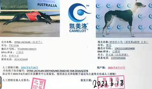 拉克兰X愤怒小鸟 156111110029400，NLFN1206.jpg