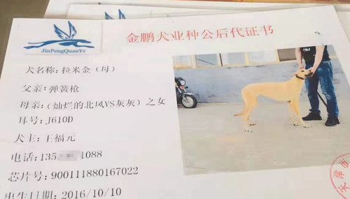 拉米金 900111880167022，J610D