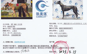 尼克斯X东方红 900219000033571，来财.jpg