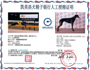 魔法蛋白石X迷人的缘156111110029411.jpg