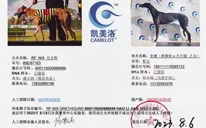 尼克斯X麦穗儿 156111110095723.jpg