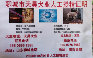 非凡的碰撞X小白 136046579990065.jpg