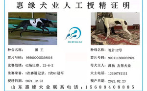 黑王X诡计12号 900111880032924，NGXH613BA.jpg