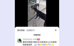 阿斯顿保罗X黑妮 941000225081437，DBZL9.jpg