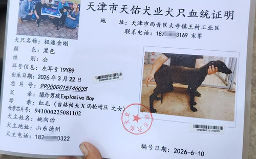 极速金刚 990000015146035，T9Y89
