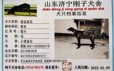 使溢浪花 941000225081011