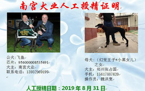 飞鱼X黑妞 941000015219265.jpg