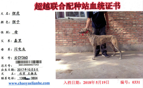狸虎 CY360，90010000007343