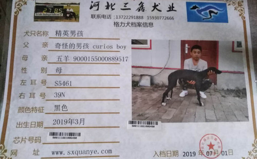 精英男孩 S5461 39N，900111881006490