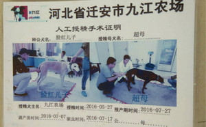 脸红129DX超母 Nun's Habit，OAD E095.jpg