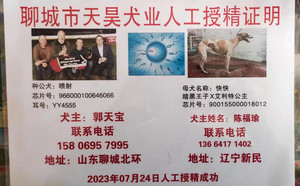 喷射X快快 900155000018012.jpg