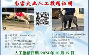 哈瓦那X灿烂的公主 900215009728087.jpg