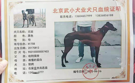 尤丽 900155000057403，H1708