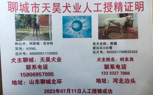 阿斯顿吉甘特X熊猫 DBNC1,900201709632422.jpg