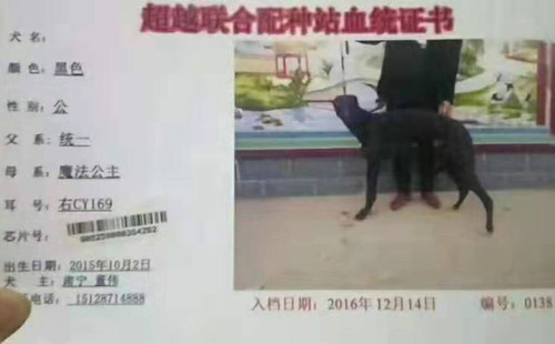 黑龙 CY169