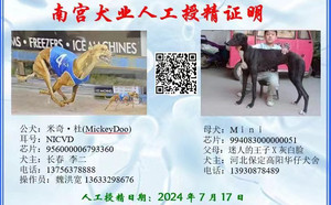 米奇杜XMini 994083000000051.jpg