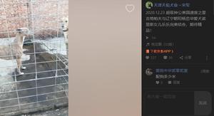 吉格帕夫X乐乐 900100000041984，NLSZ1603.jpg