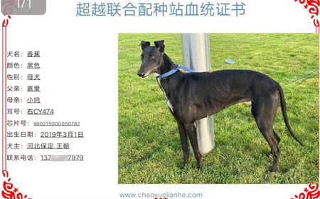香蕉 900215000050782