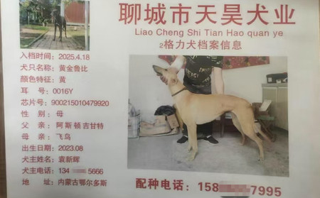 黄金卢比 900215010479920