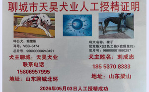 鲍里斯X黑狸母 988000001880297.jpg