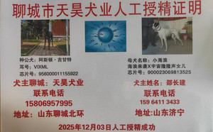 阿斯顿吉甘特X小海浪 900023069813525.jpg