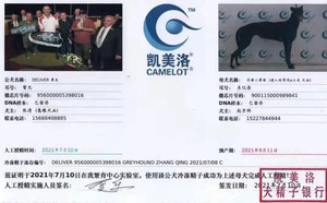 黑王X行唐小黑母 900115000989841.jpg