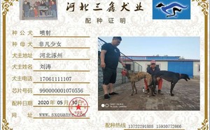 喷射X非凡少女 990000001070556，FFYY1607.jpg