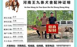 黄游轮红牛X艾咪 CY478，900215000050793.jpg