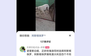 诺里斯白妞X诺里斯白妞 990000001567657，NLHW1603.jpg