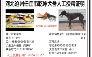 联邦摩根X蓝色彩虹990000010039291.jpg