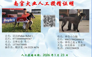 法汉X神奇小白腿 900215002088616.jpg