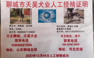 阿斯顿吉甘特X辉煌小白腿 NGXH 717M，900115000929373.jpg