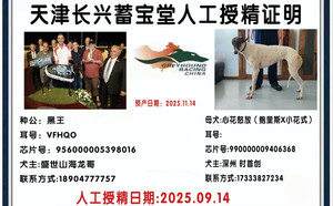 黑王X心花怒放 990000009406368.jpg