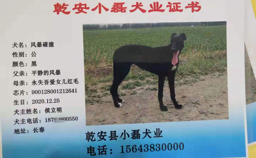 风暴碰撞 900128001212641