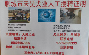 闪烁的柳树X葫芦蛋 990000006890783，0103F.jpg